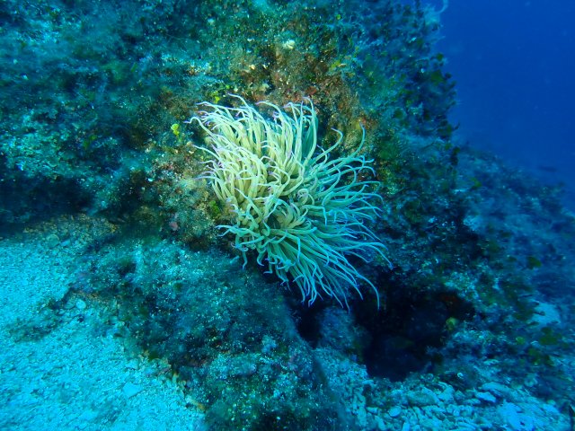 foto 30.05.19 18 21 15